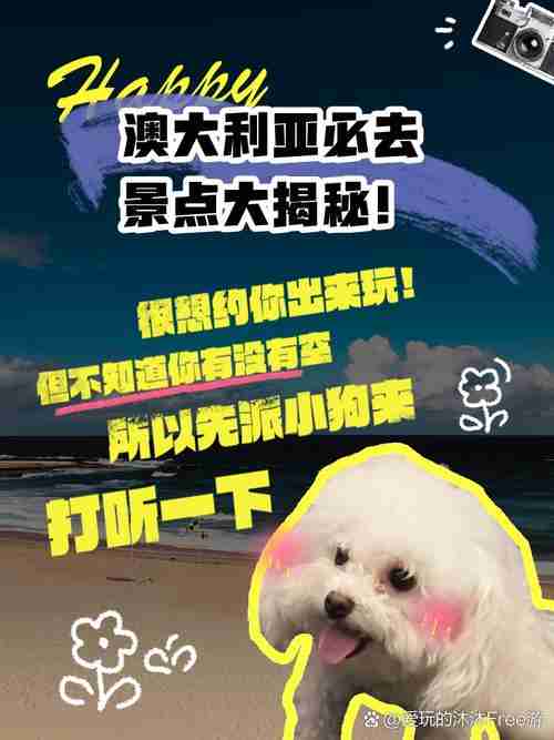 澳洲5技巧大揭秘，新手也能成高手！